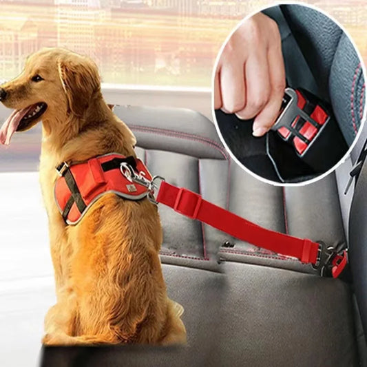 ceinture de securité pour chiens